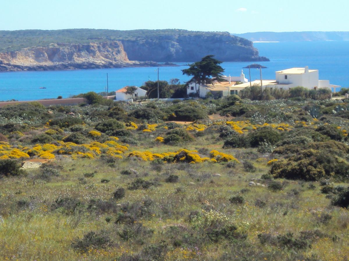 Casa Grilo Ξενοδοχείο Σάγκρες Εξωτερικό φωτογραφία